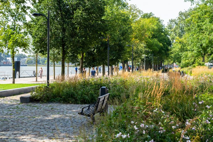 Ravestein: 'Hier heeft groen zijn plek opgeëist. Het laat zien dat Ravestein: 'Hier heeft groen zijn plek opgeëist. Het laat zien dat