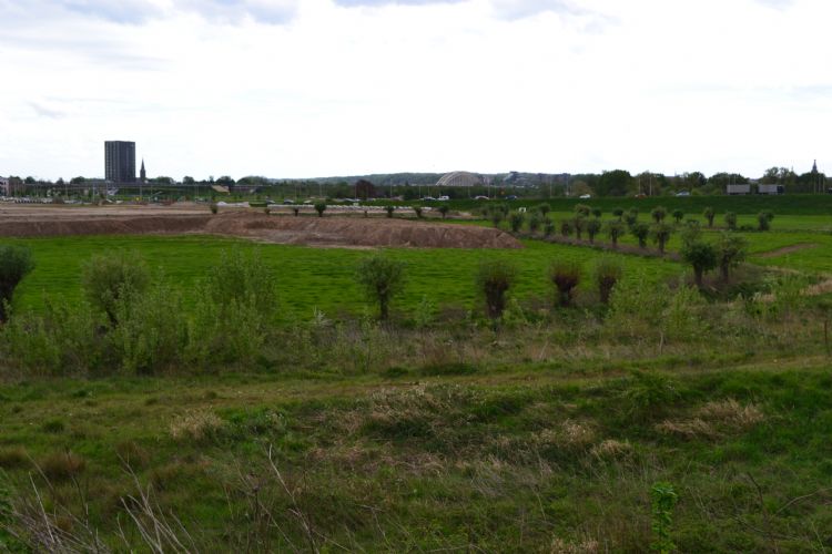 Door het behoud van de knotwilgen krijgt het gebied een eigen karakter. Door het behoud van de knotwilgen krijgt het gebied een eigen karakter.