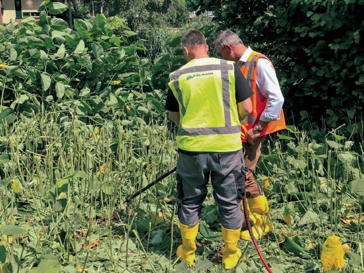 Dezelfde locatie in Arnhem tijdens de eerste behandeling Dezelfde locatie in Arnhem tijdens de eerste behandeling