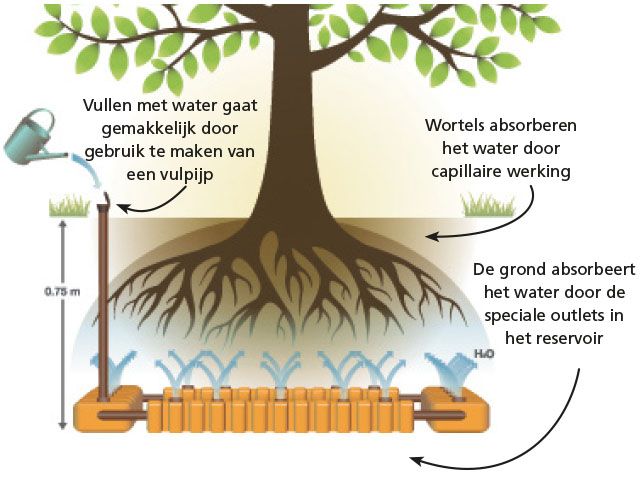 NepTunus met capillaire werking