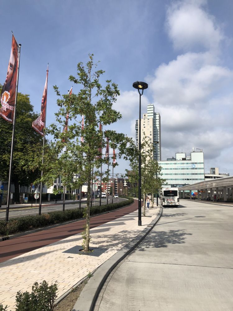 Project 'Spoorzone' in de gemeente Tilburg. ConnectedGreen-sensoren monitoren de bomen en planten. Project 'Spoorzone' in de gemeente Tilburg. ConnectedGreen-sensoren monitoren de bomen en planten.