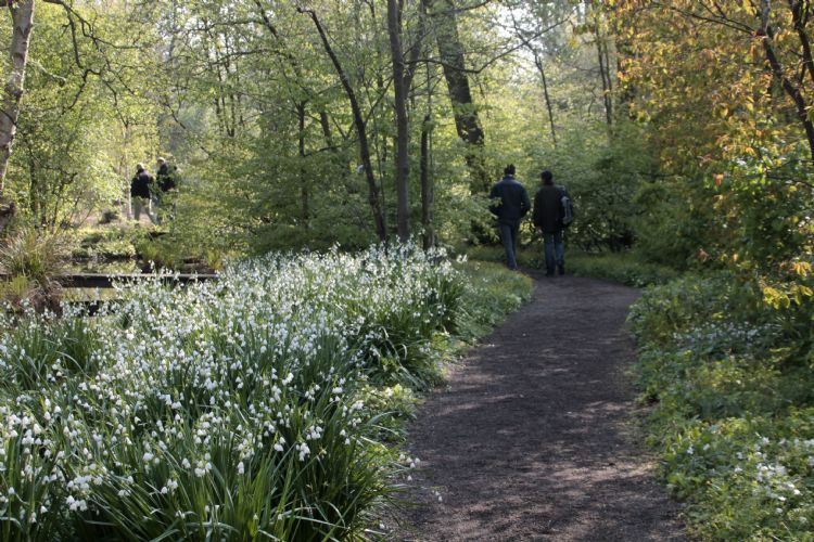 Heemparken groep mensen 2 Leucojum ©CarienvanBoxtel Heemparken groep mensen 2 Leucojum ©CarienvanBoxtel