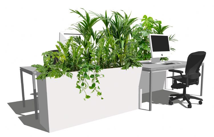 Een manier om met groen gepaste afstand tussen bureau's te waarborgen. Bron: Donker Groep Een manier om met groen gepaste afstand tussen bureau's te waarborgen. Bron: Donker Groep