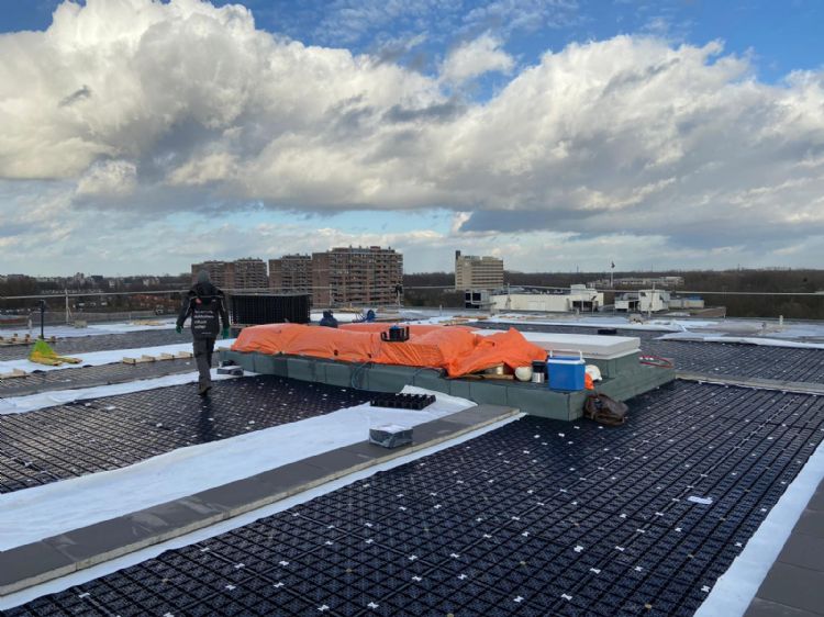 Retentiedak De Lorenz, Leiden. Aanleg: Koninklijke Ginkel Groep Retentiedak De Lorenz, Leiden. Aanleg: Koninklijke Ginkel Groep