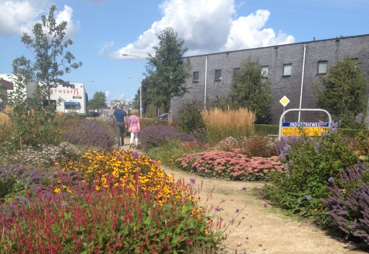 Industrieterrein Grote Polder in Zoeterwoude Industrieterrein Grote Polder in Zoeterwoude