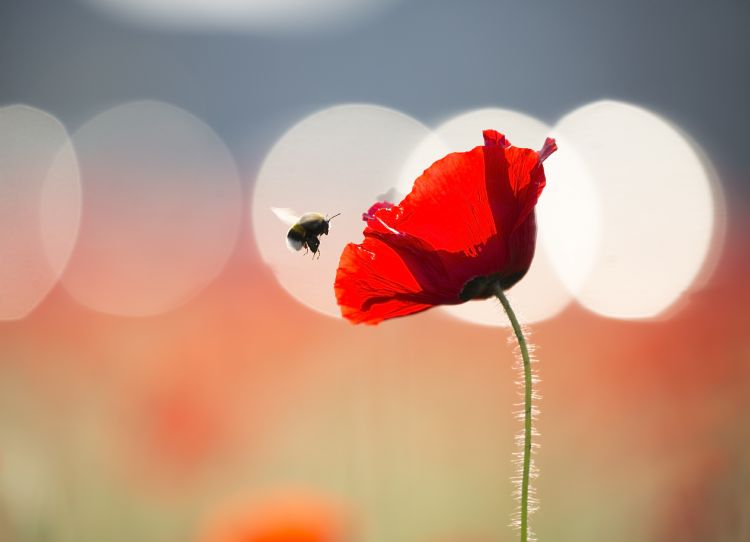 Prijswinnaars van de fotowedstrijd Prijswinnaars van de fotowedstrijd