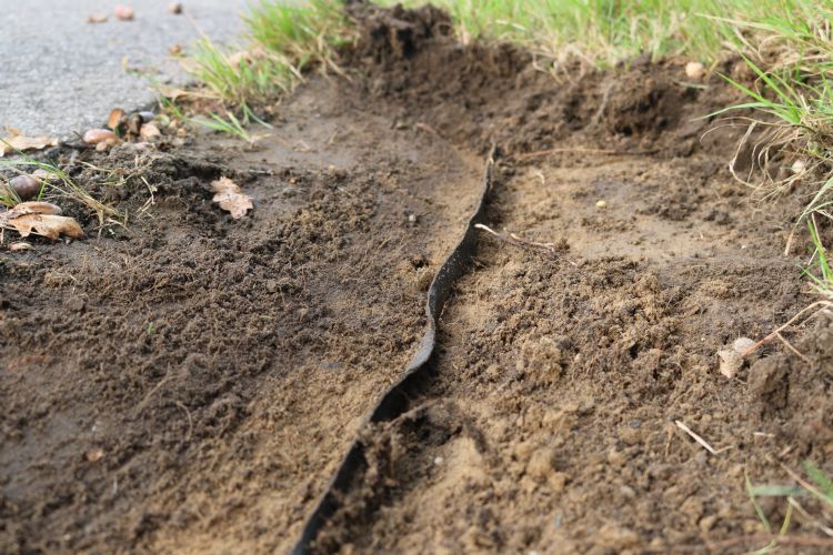 Met de freesmachine kunnen twee verschillende wortelschermen worden ingebouwd: RootControl, een van de zwaarste typen non-woven worteldoeken op de markt, en RootBlock 1 mm flex, dat speciaal is ontwikkeld voor inbouw door de RS1000. Dit wortelscherm biedt Met de freesmachine kunnen twee verschillende wortelschermen worden ingebouwd: RootControl, een van de zwaarste typen non-woven worteldoeken op de markt, en RootBlock 1 mm flex, dat speciaal is ontwikkeld voor inbouw door de RS1000. Dit wortelscherm biedt