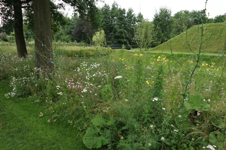 Grachtenzone in Groenlo. Grachtenzone in Groenlo.