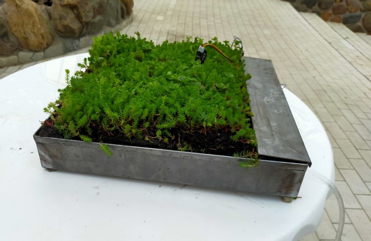 Prototype Groendakmonitor. Foto: Groendakmonitor Prototype Groendakmonitor. Foto: Groendakmonitor