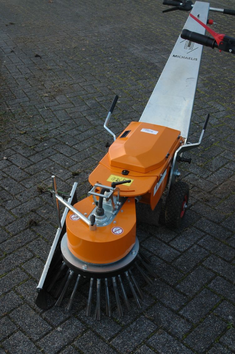 De Michaelis: opvallend lang en robuust De Michaelis: opvallend lang en robuust