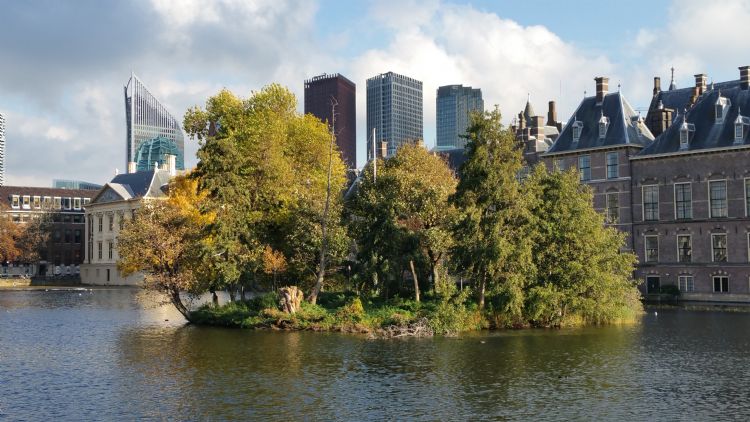 Natuureiland Hofvijver (foto: Nanda Sluijsmans) Natuureiland Hofvijver (foto: Nanda Sluijsmans)