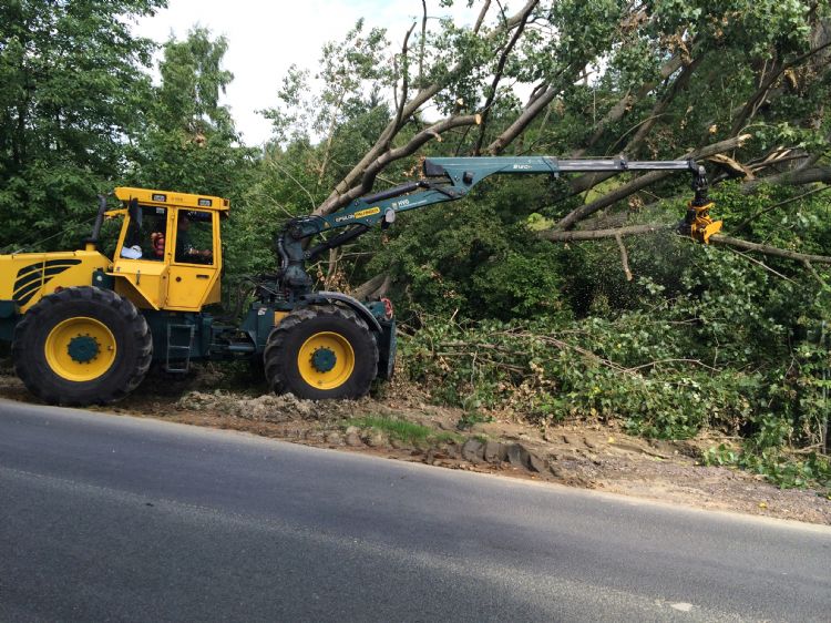 Stormschade wordt snel en veilig weggewerkt, zonder grote velploeg met kettingzagen.  Stormschade wordt snel en veilig weggewerkt, zonder grote velploeg met kettingzagen.