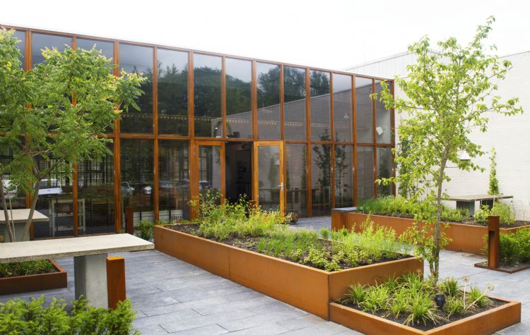 Snoek Puur Groen heeft in samenspraak met de koks van de Stenden Hotel Management School in Leeuwarden een eetbare tuin aangelegd. Snoek Puur Groen heeft in samenspraak met de koks van de Stenden Hotel Management School in Leeuwarden een eetbare tuin aangelegd.
