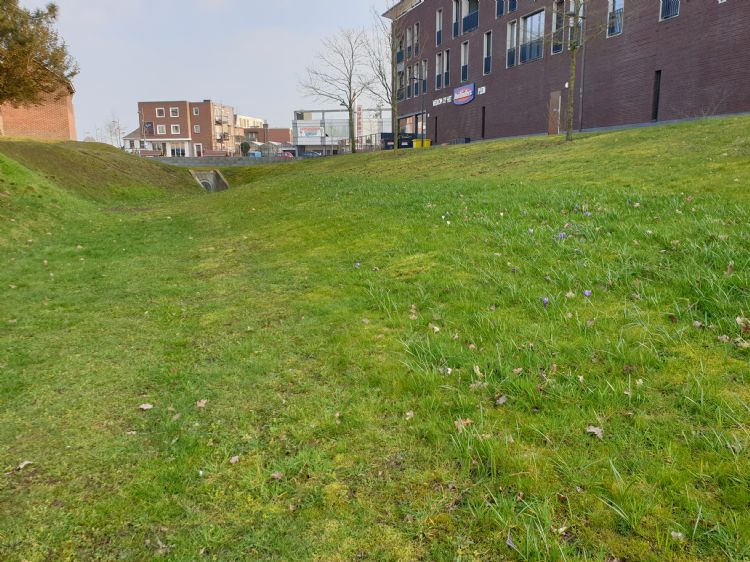 Wadi Gennep Wadi Gennep