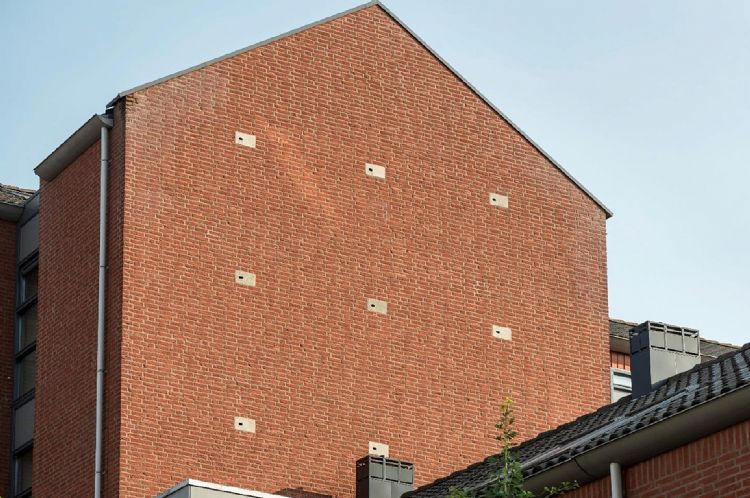 Gierzwaluwkasten ingebouwd in de kopgevel van een appartementencomplex. Foto: Vivara Pro Gierzwaluwkasten ingebouwd in de kopgevel van een appartementencomplex. Foto: Vivara Pro