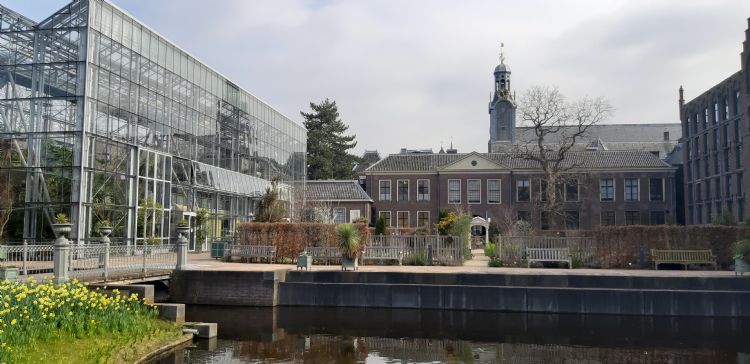 'Dit zou een uitstekend zoetwaterretentiebekken zijn, mocht de Hortus botanicus Leiden ooit klimaatadaptiemaatregelen willen nemen.' 'Dit zou een uitstekend zoetwaterretentiebekken zijn, mocht de Hortus botanicus Leiden ooit klimaatadaptiemaatregelen willen nemen.'