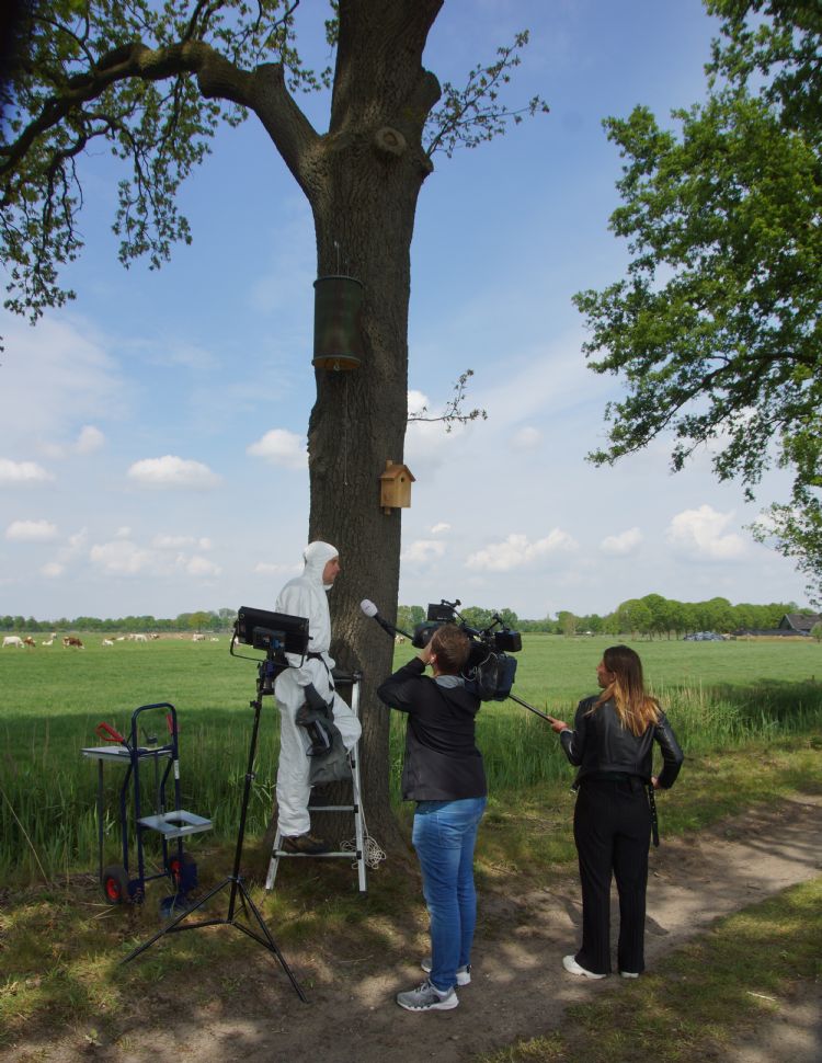 Foto: Storix Foto: Storix