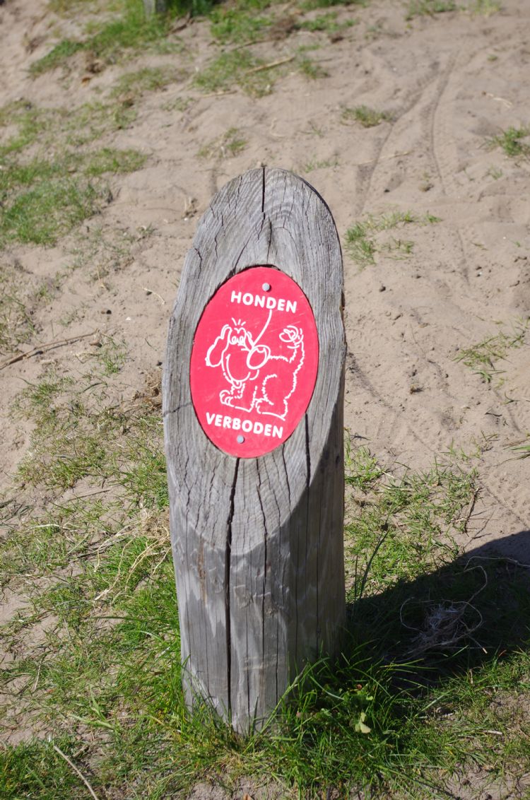 Hondenpoep is een terugkerend thema. Hondenpoep is een terugkerend thema.