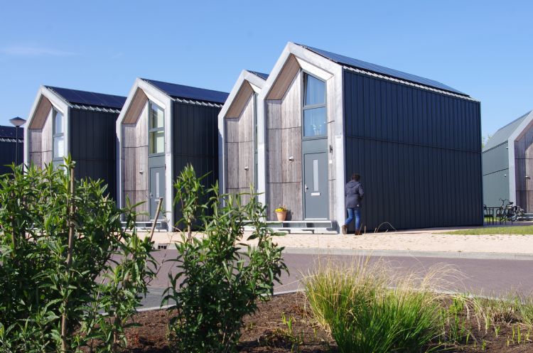 Ook de tiny houses voor tijdelijke bewoning staan in een leefbare omgeving met veel groen. Ook de tiny houses voor tijdelijke bewoning staan in een leefbare omgeving met veel groen.