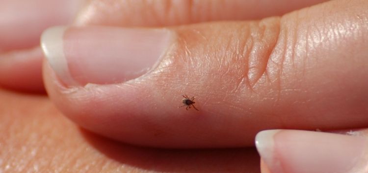  Teken zijn nauwelijks waarneembaar met het blote oog