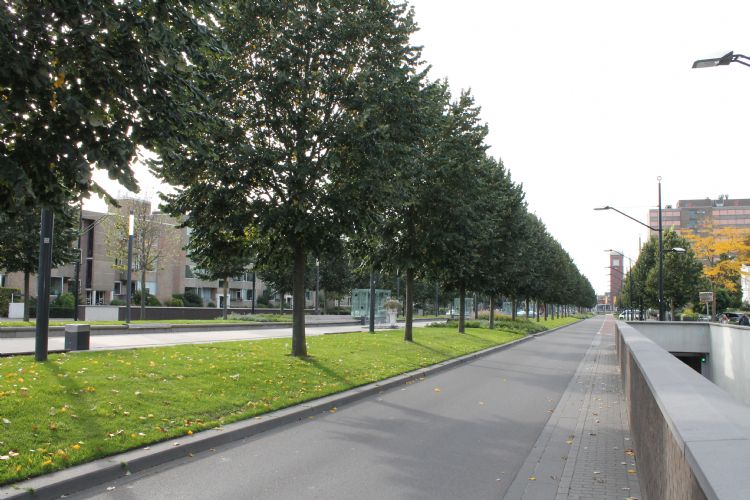 Van Schaeck Mathonsingel in Nijmegen