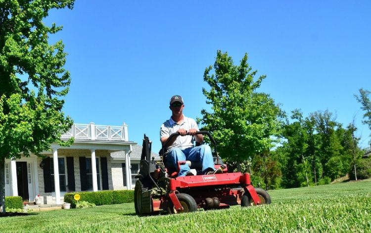 Foto ter illustratie.