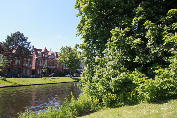 De bijeenkomst vond plaats in de groene inspirerende omgeving van de Leidse Hortus Botanicus.