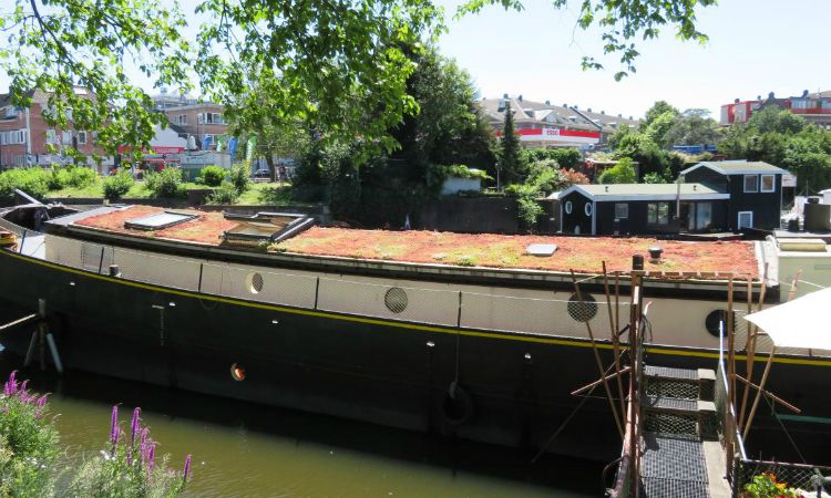 Een van de woonbootdaken waar Grachten van Smaragd de hand aan legde. Nu lekker groen. Bron: Grachten van Smaragd