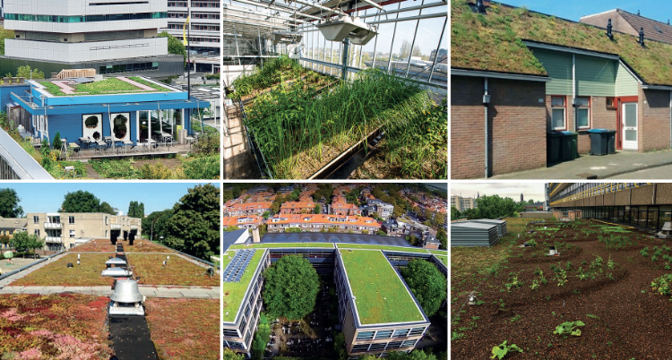 Een zestal van de meetdaken. Bron: 'Meten op hoogte'/STOWA