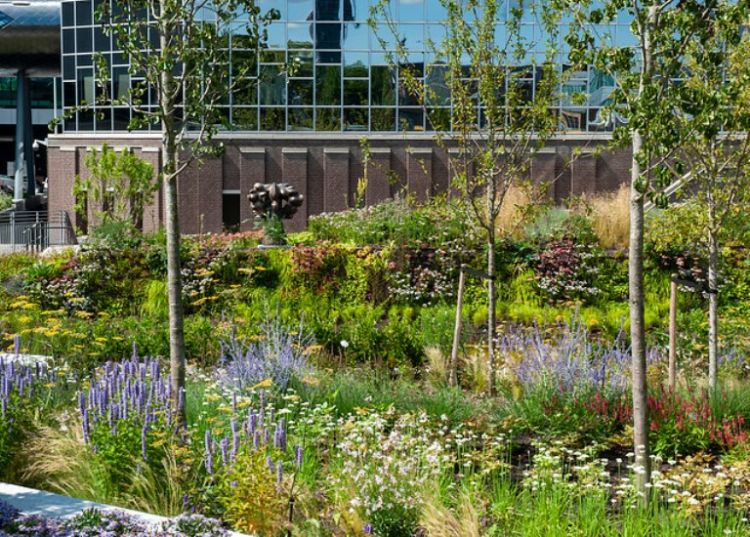 Groen terrein van de Rabobank in Utrecht. Foto: Wouter Koppen/iVerde Green Cities/ENA