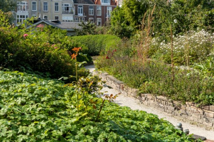 Openbaar groen in Den Haag. Foto: Wouter Koppen/iVerde, Green Cities/ENA