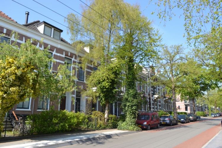 Een voorbeeld van openbaar groen in Arnhem.