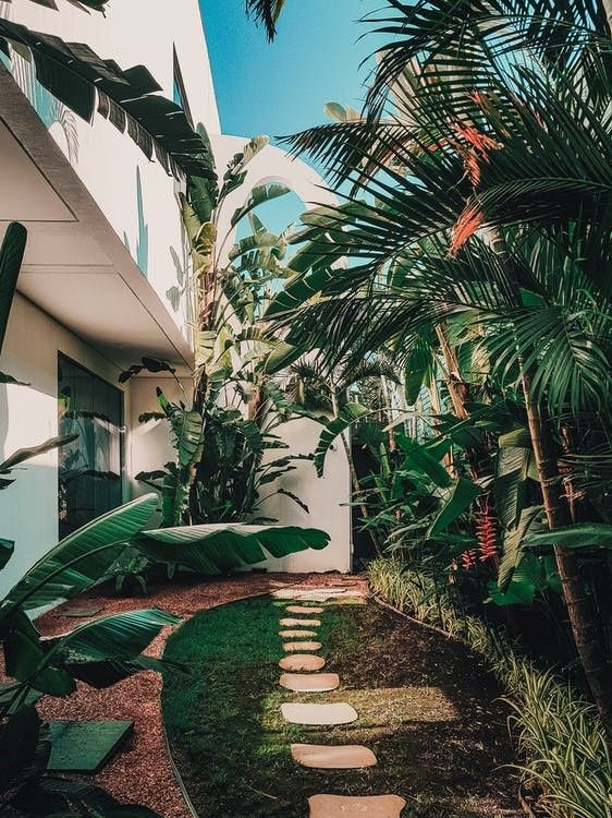 https://www.pexels.com/nl-nl/foto/garden-walkway-view-2224956/ 
