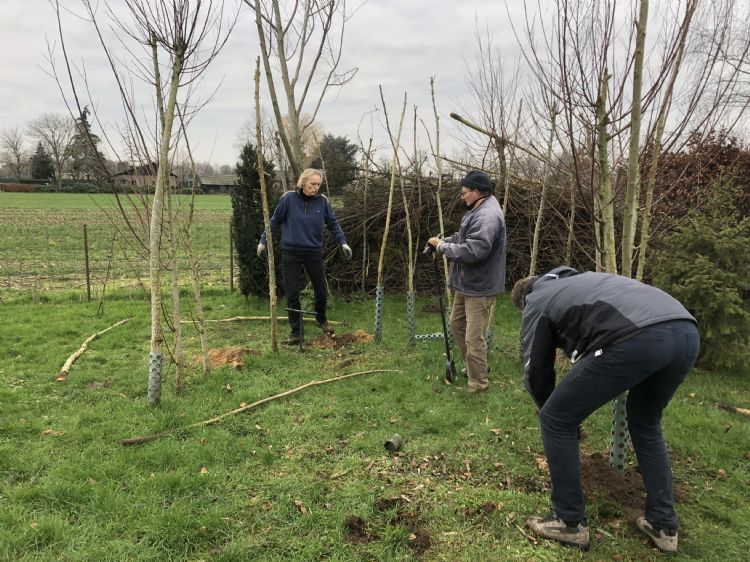 In Boomzorg schreven wij eerder over het burgerinitiatief '4 x 1000', zij hebben in totaal ruim vierduizend bomen in diverse Brabantse gemeentes geplant.