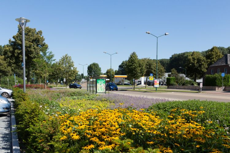 Rudbeckia laat zich ook goed combineren met andere vaste planten (archieffoto project Griffioen in gemeente Boxmeer)
