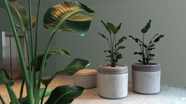 Ontwerp: Blom & Moors ontwerp openbare ruimte