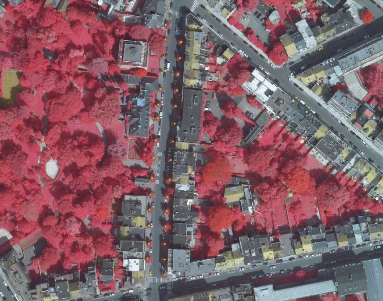 De Groene baten planner berekent de effecten van ruimtelijke inrichting op het natuurlijk kapitaal