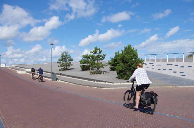 Bomen hebben het zwaar in een zeeklimaat.