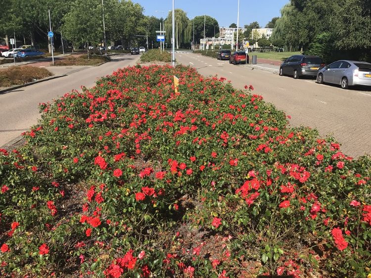 Foto: Benjamin Mensinga