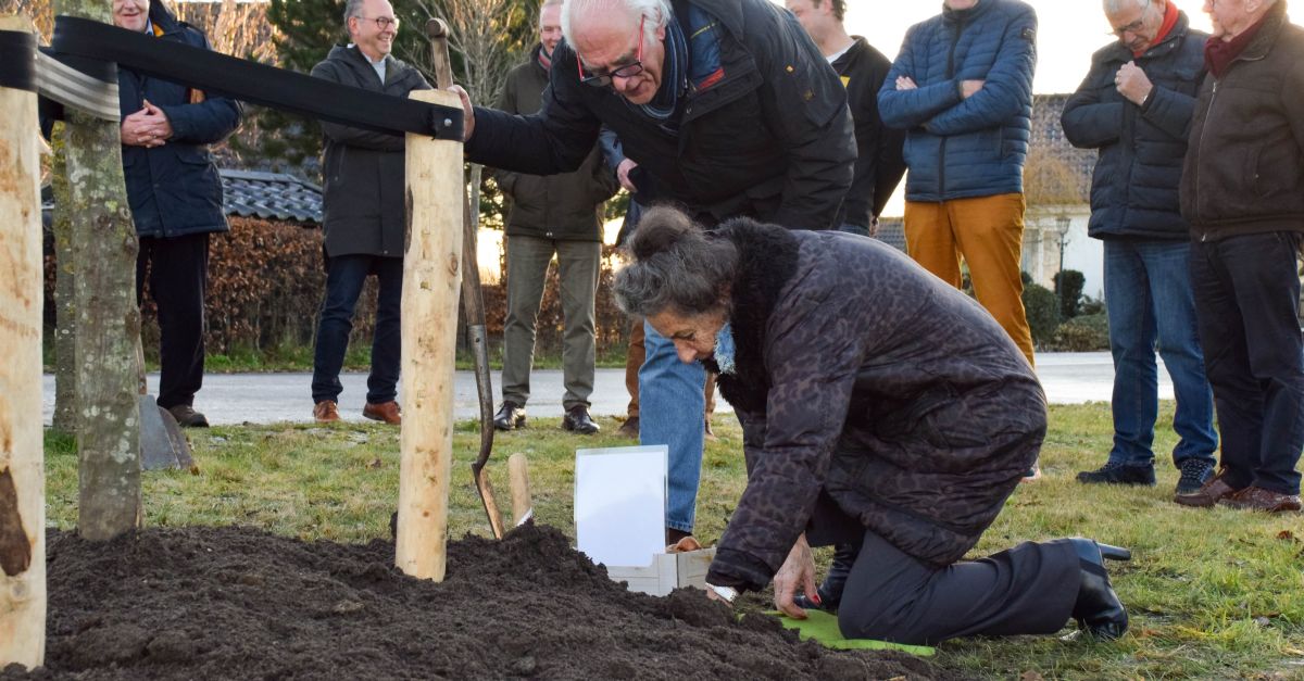 Haagbeuk als herdenkingsboom Haagbeuk als herdenkingsboom