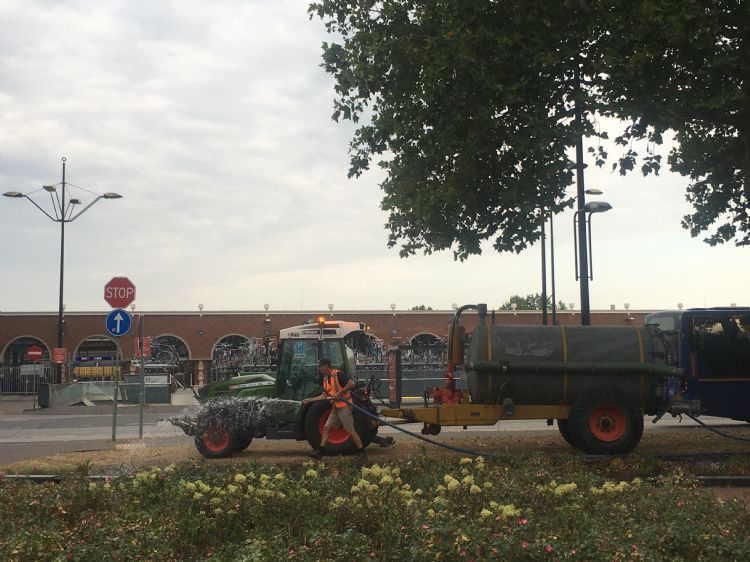 Bomen bewateren bij extreme droogte brengt vaak extra kosten met zich mee