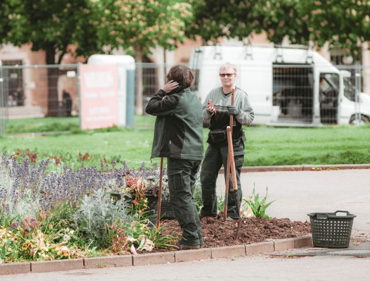 De Wet sociale werkvoorziening (WSW) is bedoeld voor mensen die door een lichamelijke, psychische of verstandelijke handicap niet onder normale omstandigheden kunnen werken. Sinds 1 januari 2015 kunnen er geen nieuwe mensen meer instromen in de WSW. Allee