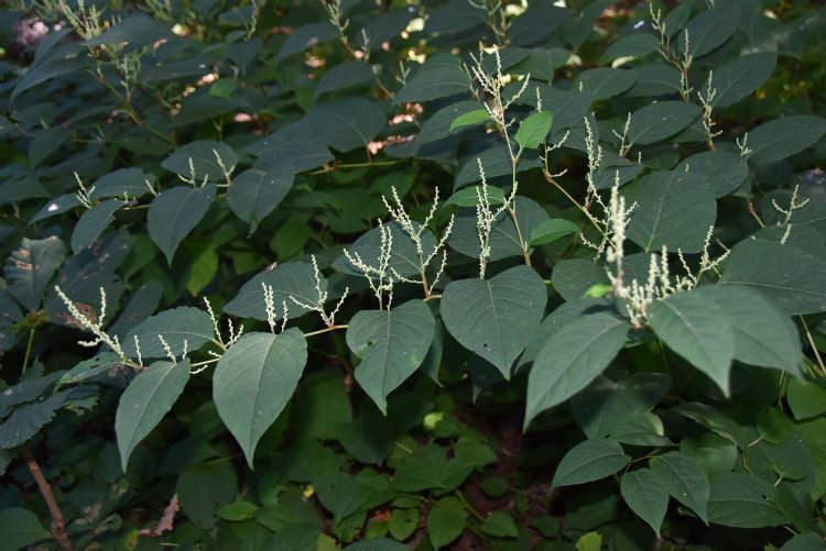 <Geen tekst> <Geen tekst>