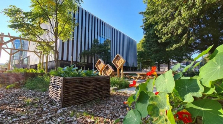 Via de regeling zijn de afgelopen 6 jaar al 350 versteende schoolpleinen omgetoverd in avontuurlijke groene buitenruimtes.