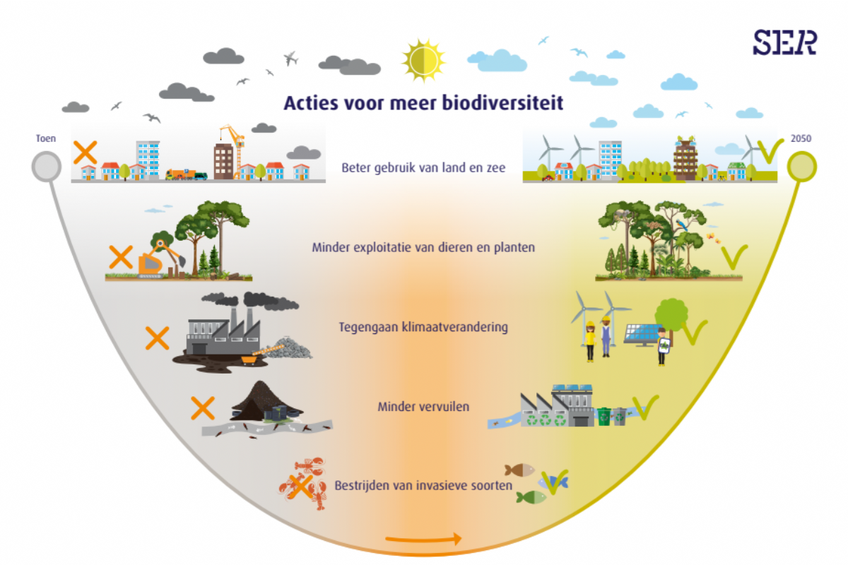 Door de groene normen het bos niet meer zien