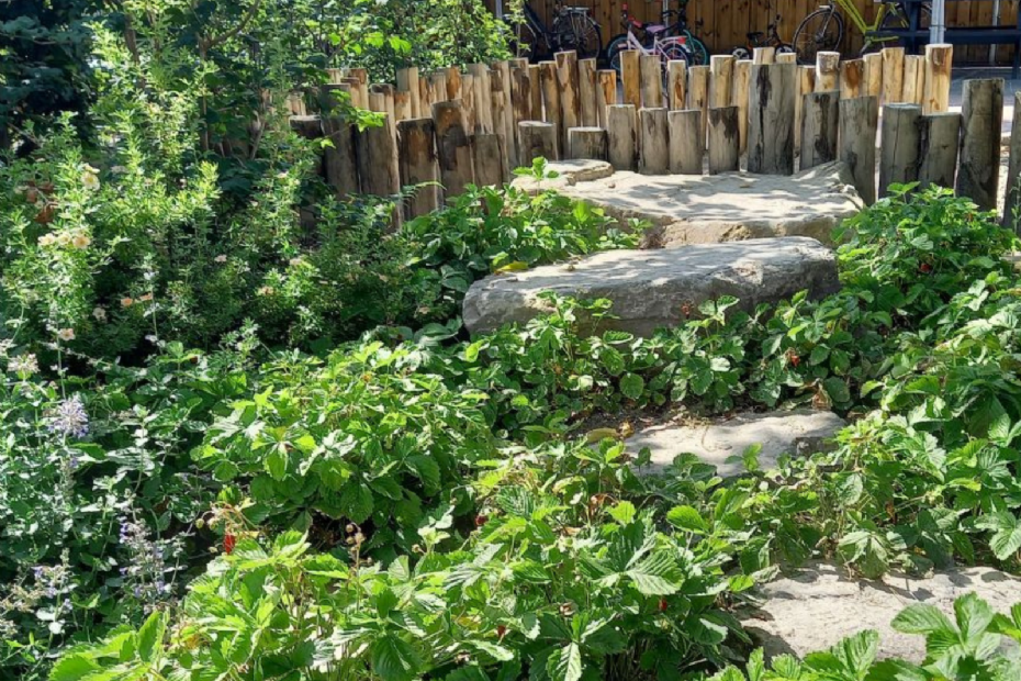 Pad van Ardenner stapstenen door het groen naar de zandbak