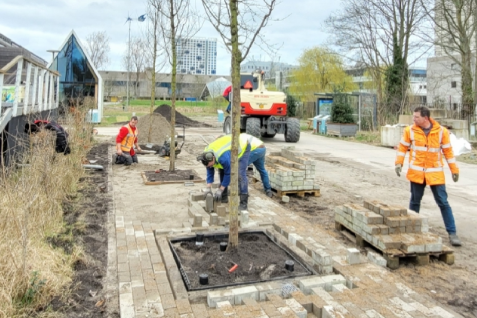 Afwerking van de TreeNovations-proefopstelling in Green Village