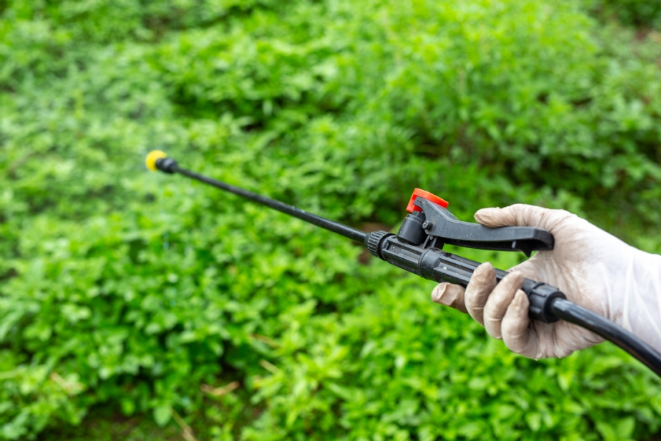 Gewasbescherming (beeld: jcomp on Freepik - 'Gardeners are Spraying')