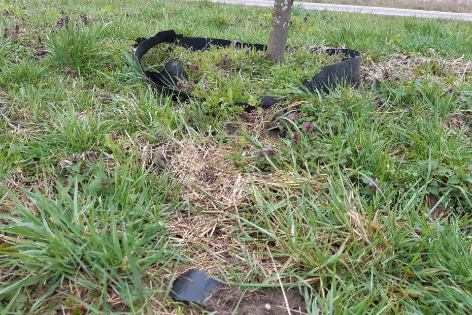 Gietrand rond een boom met stukken plastic