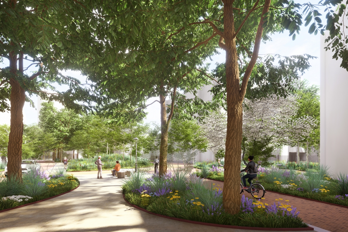 Het Stadspark van Apeldoorn: een groene transformatie